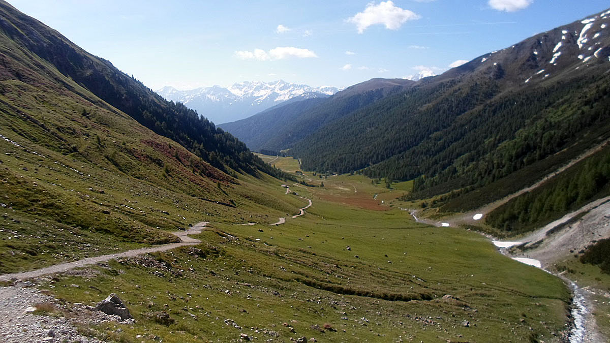 ../Foto/Foto_MarcoF/SAM_0341.jpg