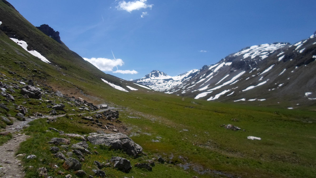 ../Foto/Foto_MarcoF/SAM_0346.jpg