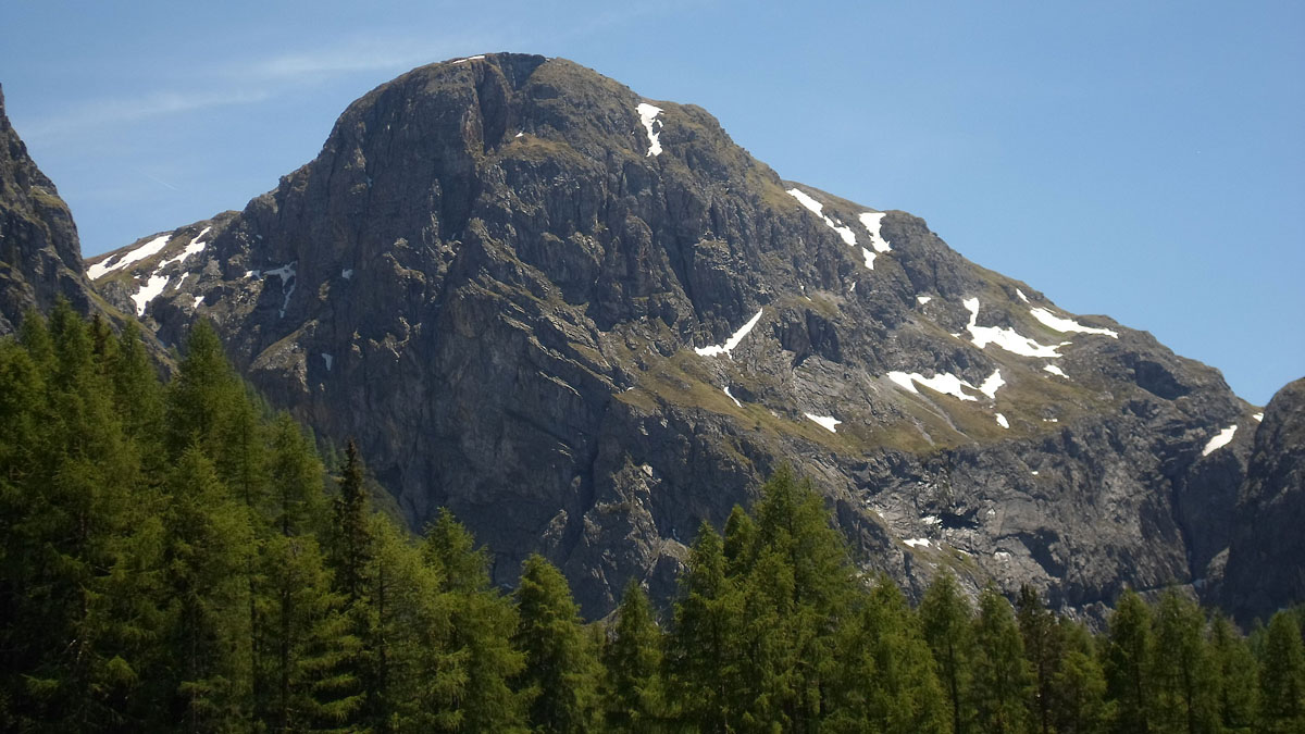 ../Foto/Foto_MarcoF/SAM_0368.jpg