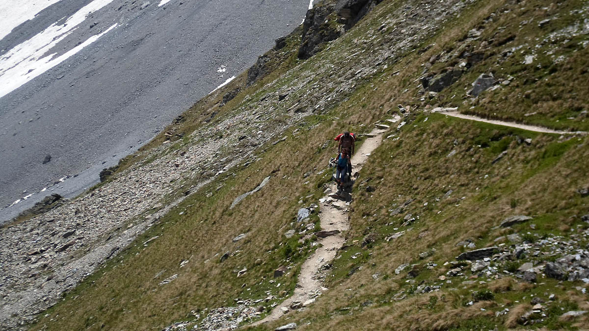 ../Foto/Foto_MarcoF/SAM_0378.jpg