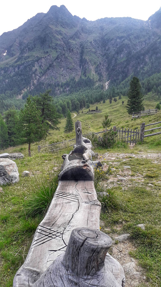 ../Foto/Foto_Marzia/092146.jpg
