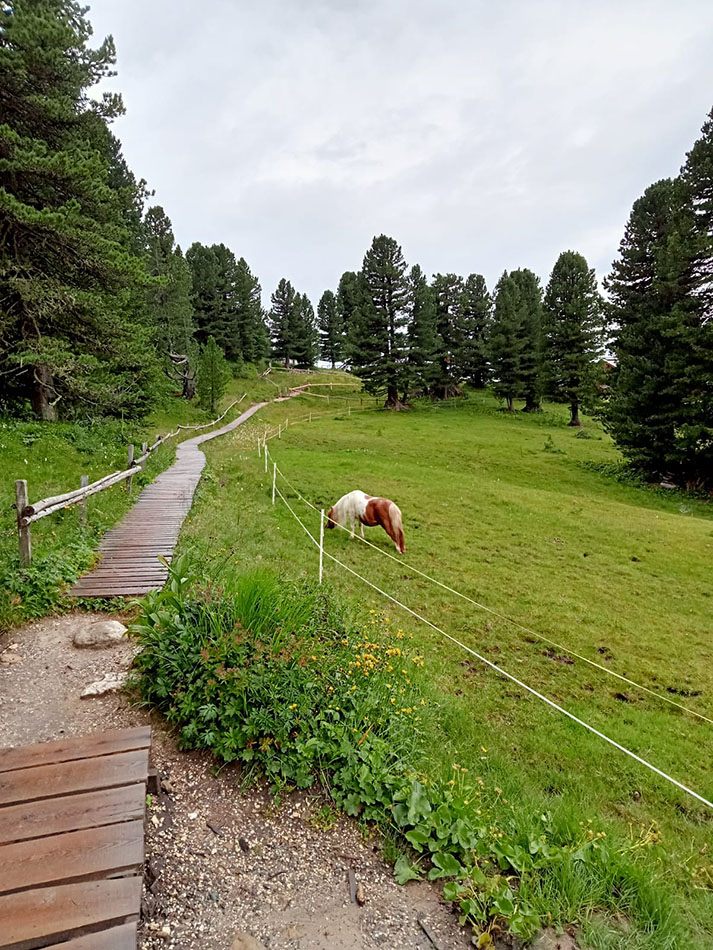 ../Foto/Foto_pres/IMG-20250725-WA0038.jpg