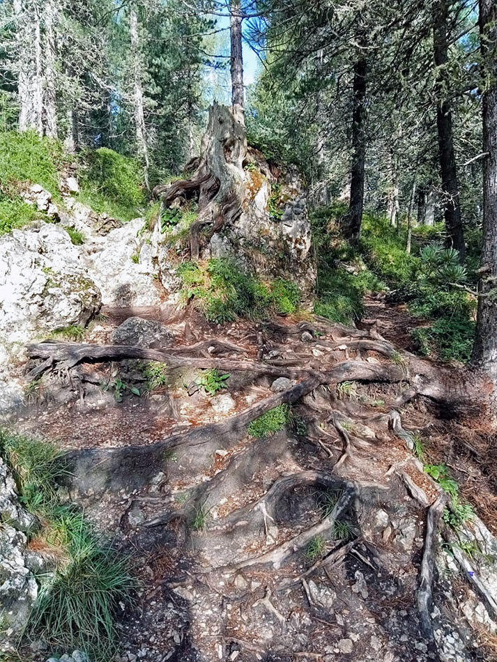 ../Foto/Foto_pres/IMG-20250725-WA0040.jpg