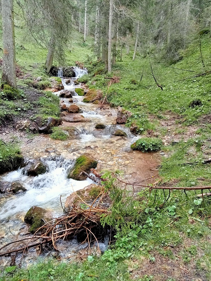 ../Foto/Foto_pres/IMG-20250725-WA0044.jpg