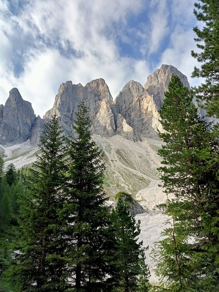 ../Foto/Foto_pres/IMG-20250725-WA0068.jpg