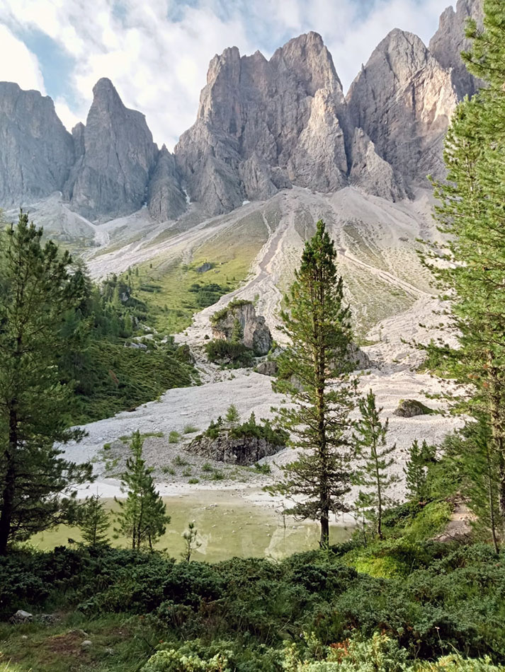 ../Foto/Foto_pres/IMG-20250725-WA0079.jpg