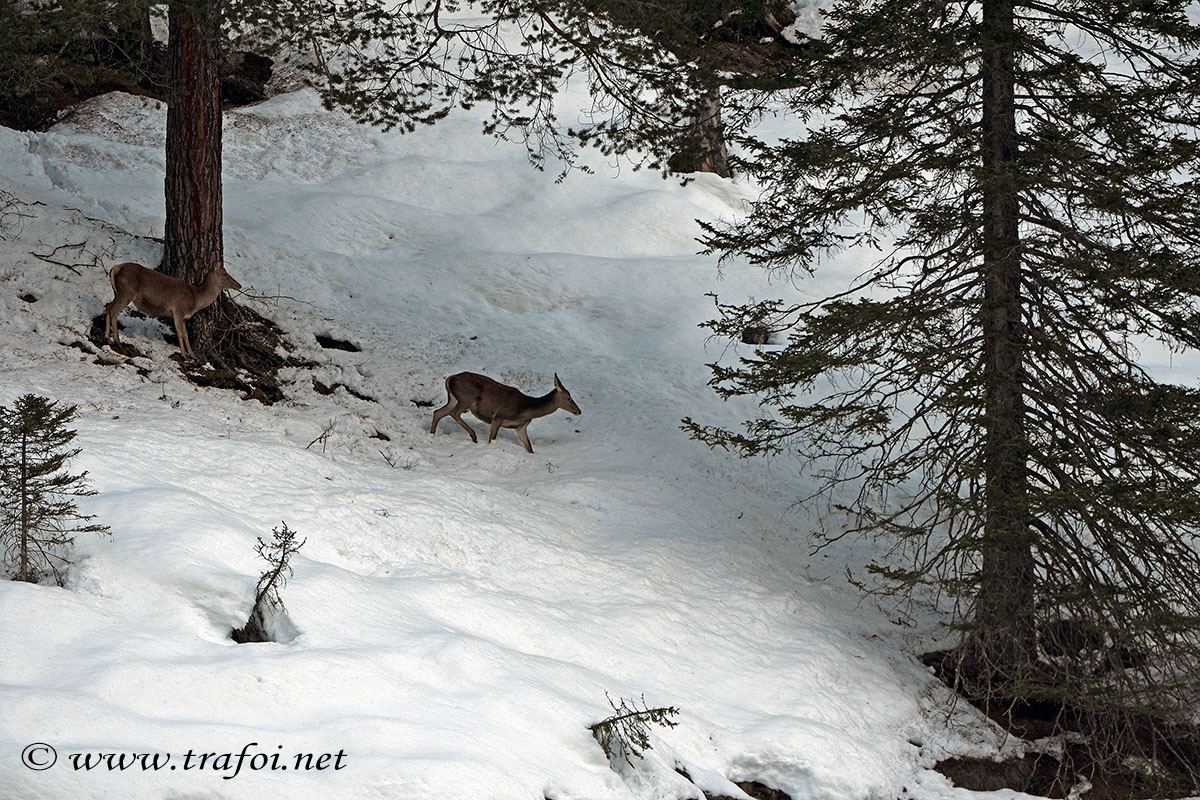 ../Incontri/000371_D500.jpg