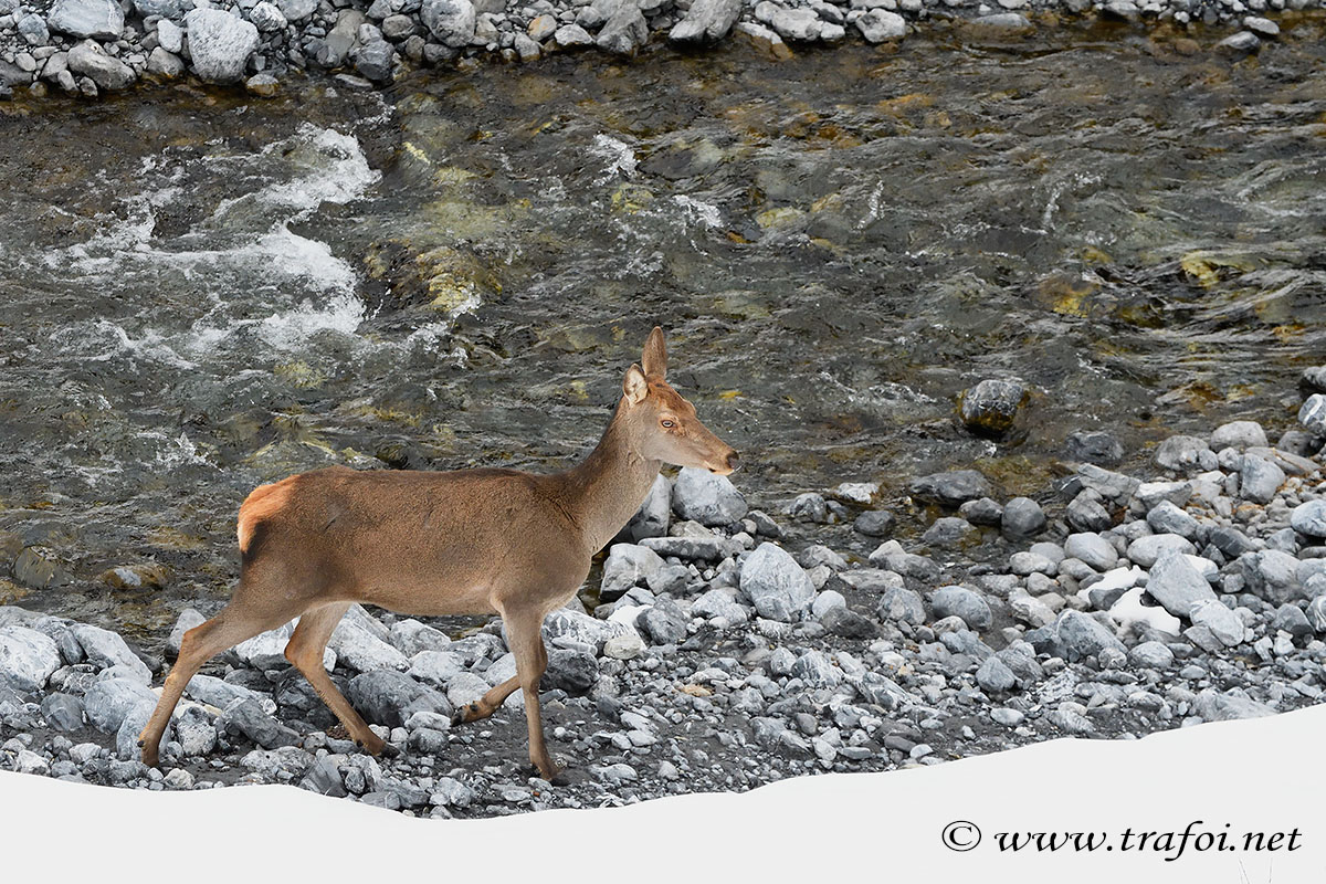 ../Incontri/001155_D500.jpg