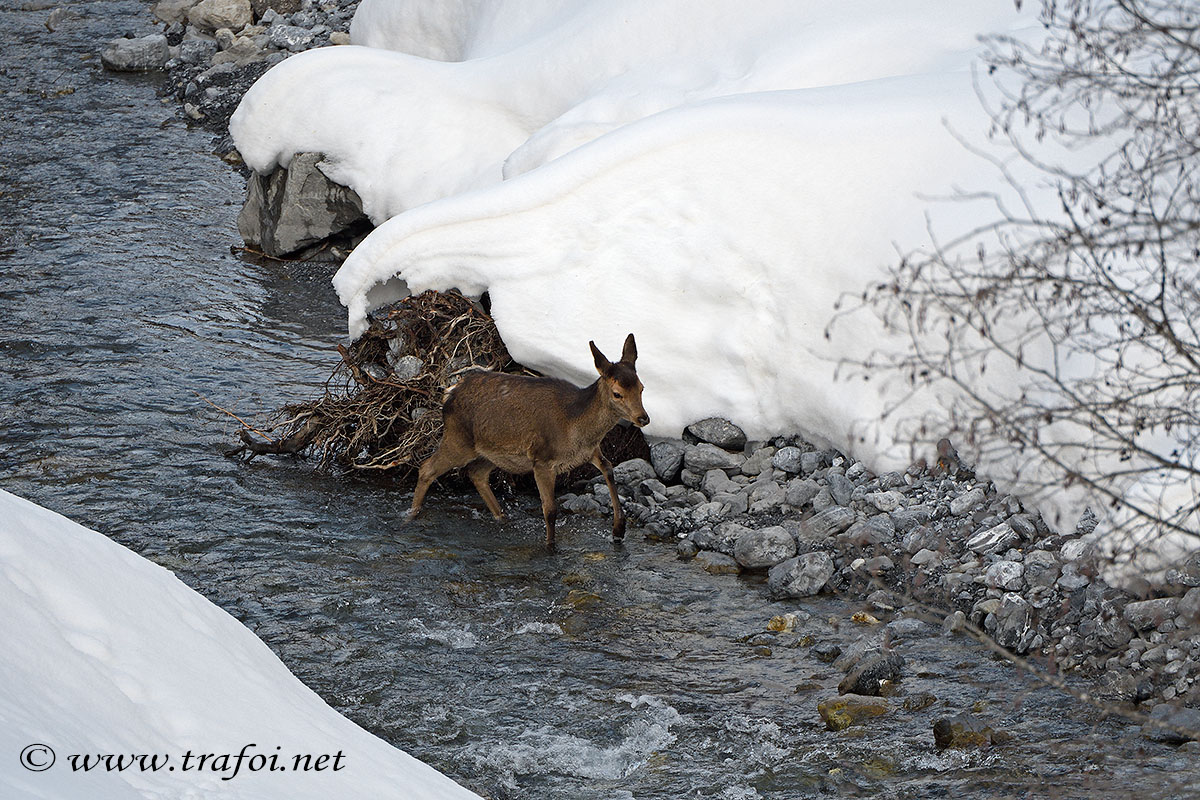 ../Incontri/001265_D500.jpg