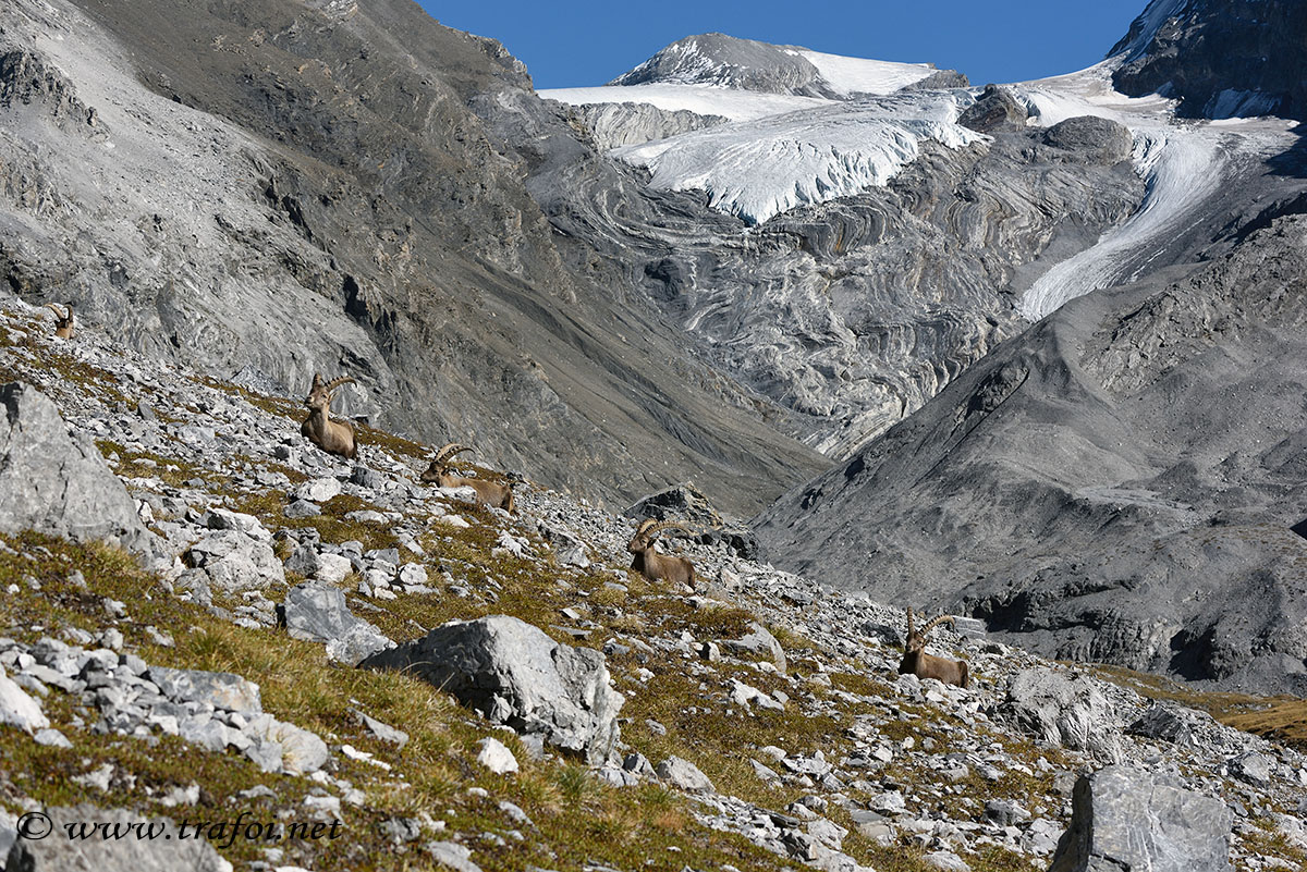 ../Incontri/001696bis.jpg