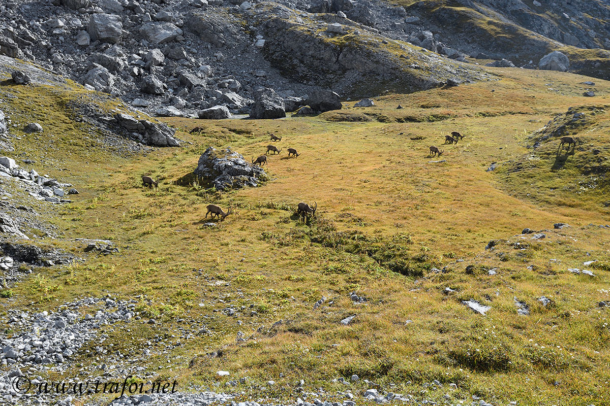 ../Incontri/004419_D500.jpg