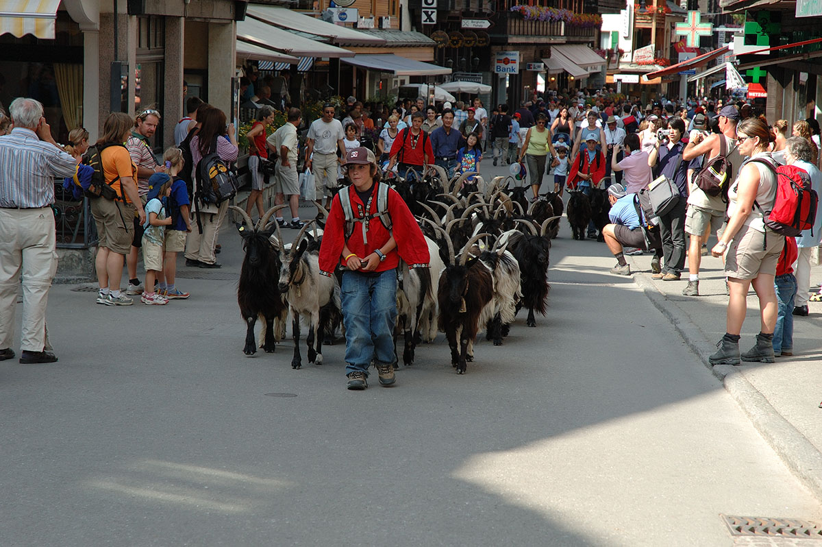 ../Viaggi/Cervinia_Zermatt/151.jpg