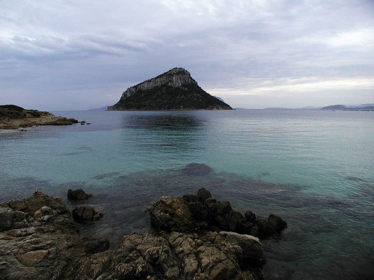 ../Viaggi/Costa_Smeralda/Isola_Figarolo2.jpg