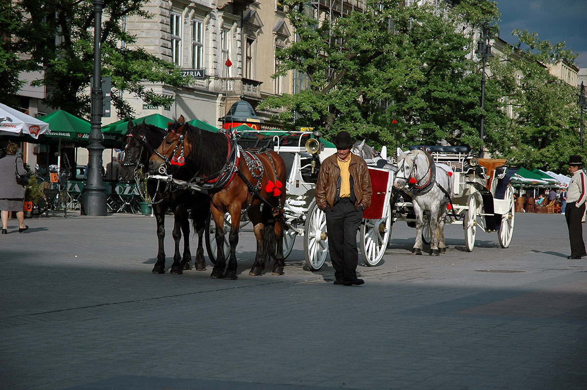 ../Viaggi/Cracovia/320.jpg