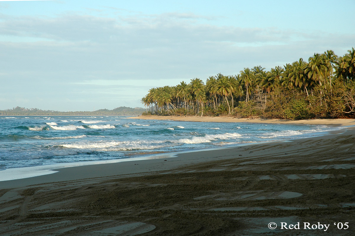 ../Viaggi/Dominicana/016.jpg