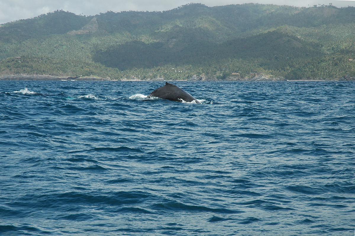 ../Viaggi/Dominicana/044.jpg