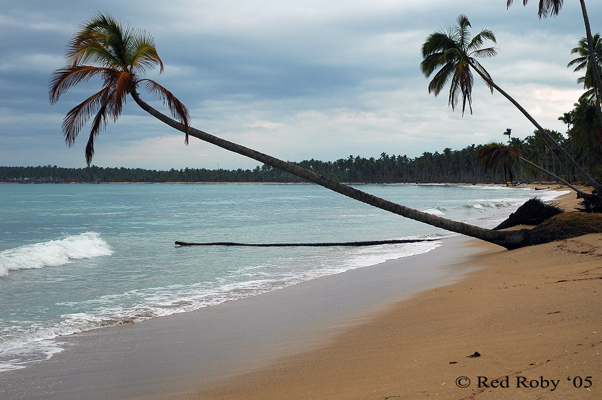 ../Viaggi/Dominicana/128.jpg