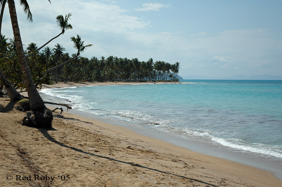 ../Viaggi/Dominicana/138.jpg