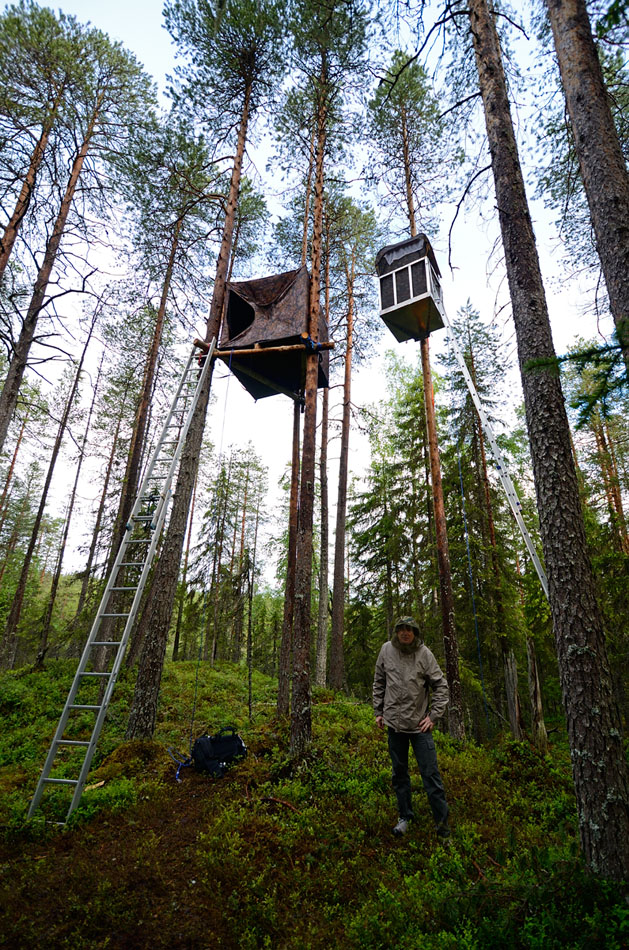 ../Viaggi/Finlandia/2127.jpg