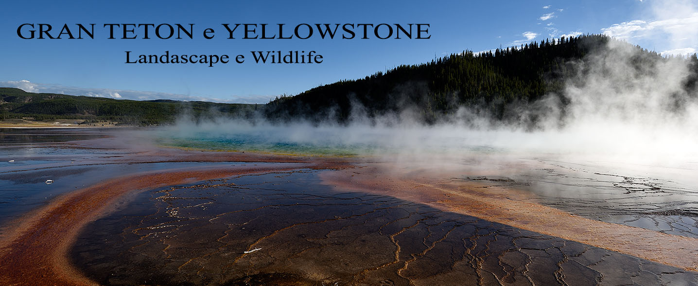 Gran Teton e Yellowstone National Parks