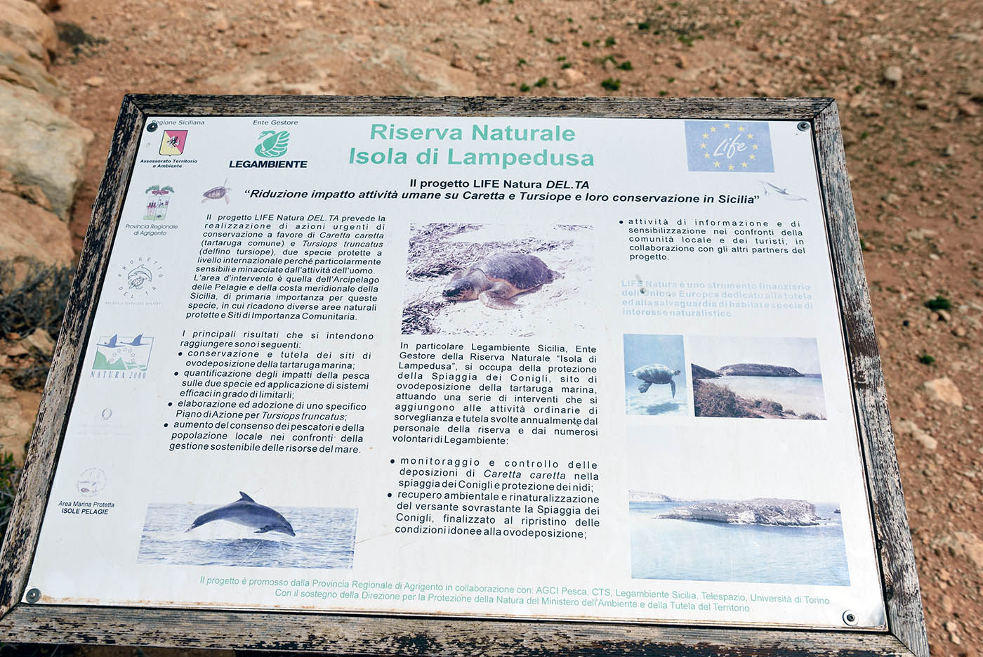 ../Viaggi/Lampedusa/Lampedusa_006558.jpg