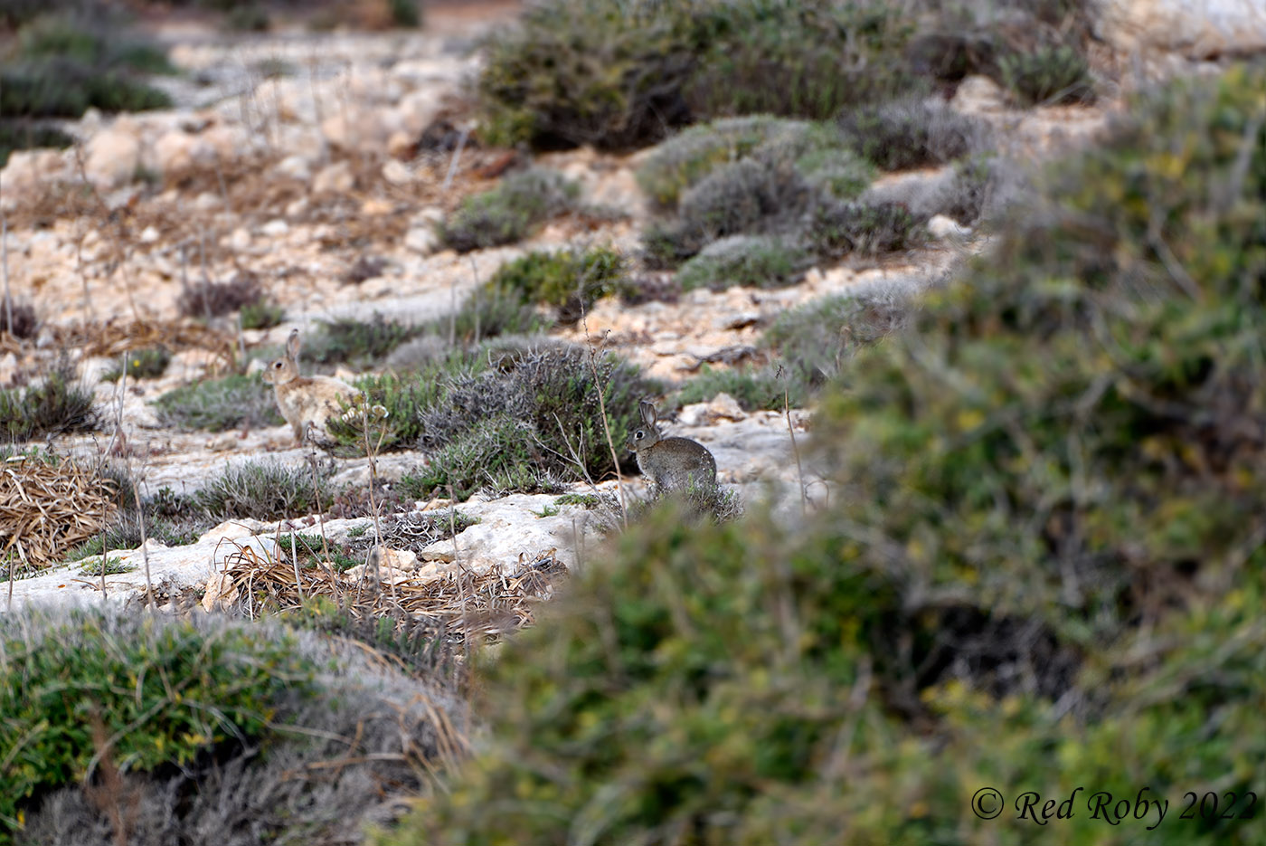 ../Viaggi/Lampedusa/Lampedusa_007479.jpg