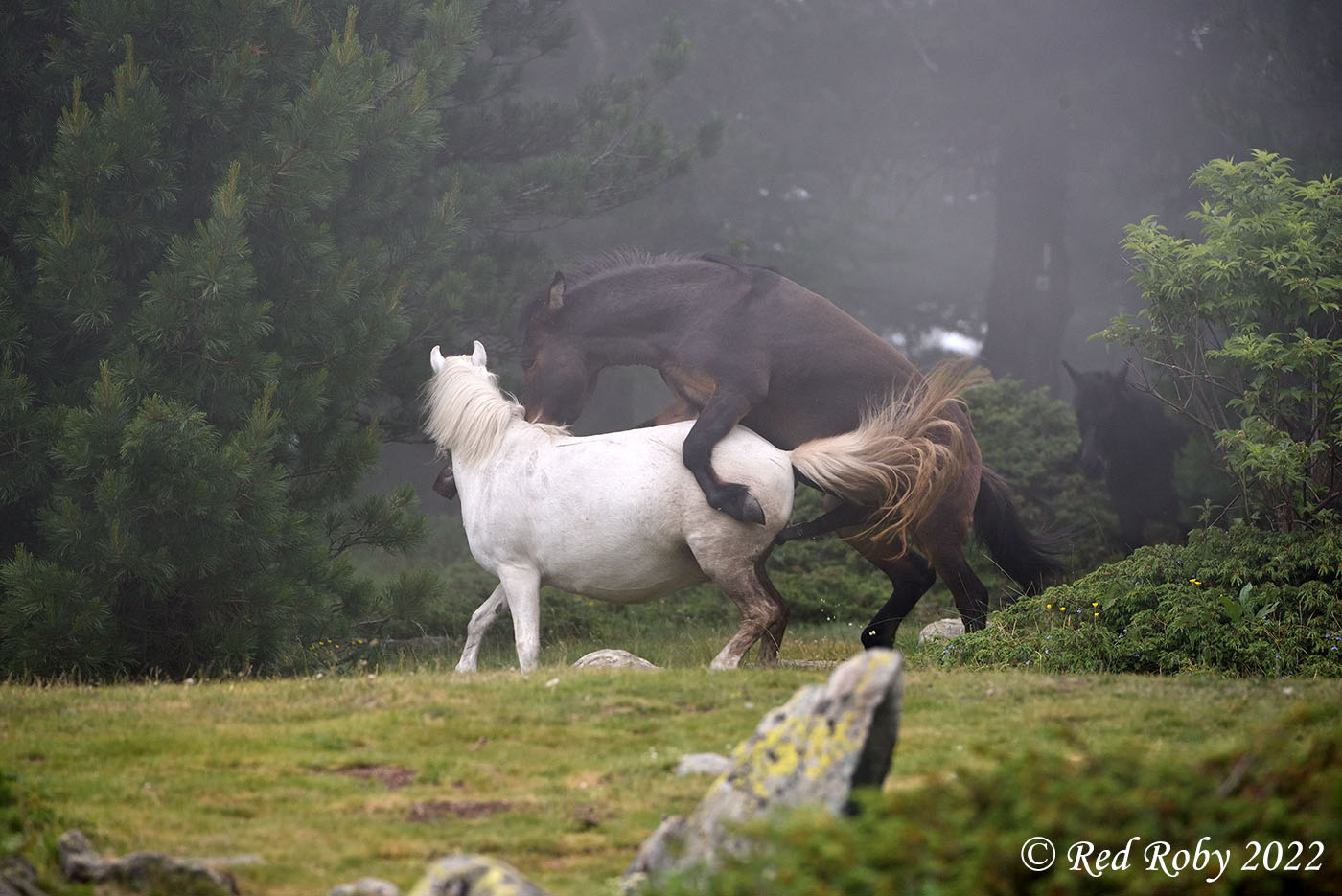 ../Viaggi/Monviso/Giro_Monviso_007657.jpg