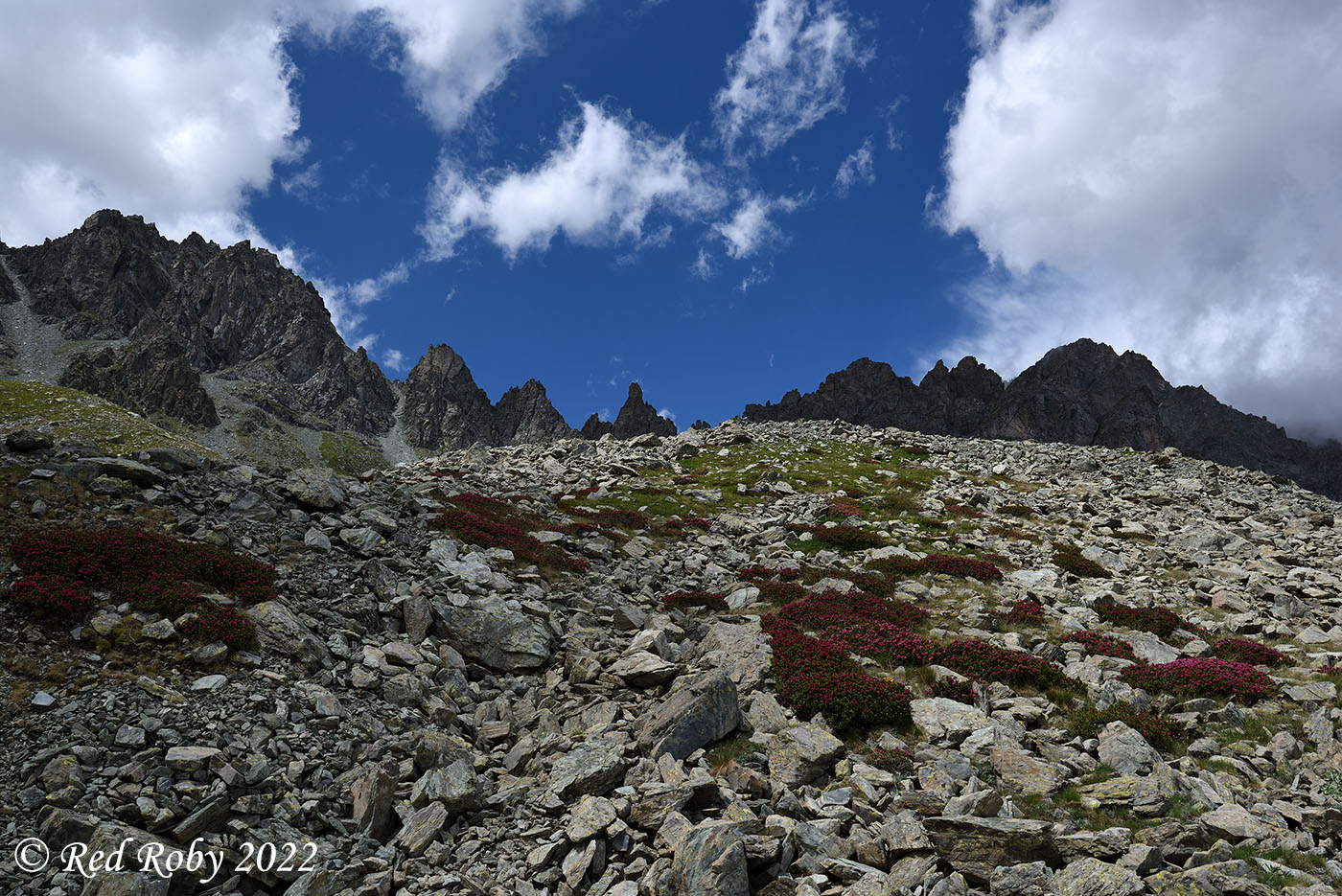 ../Viaggi/Monviso/Giro_Monviso_007732.jpg