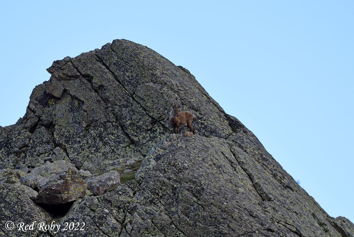 ../Viaggi/Monviso/Giro_Monviso_007805.jpg