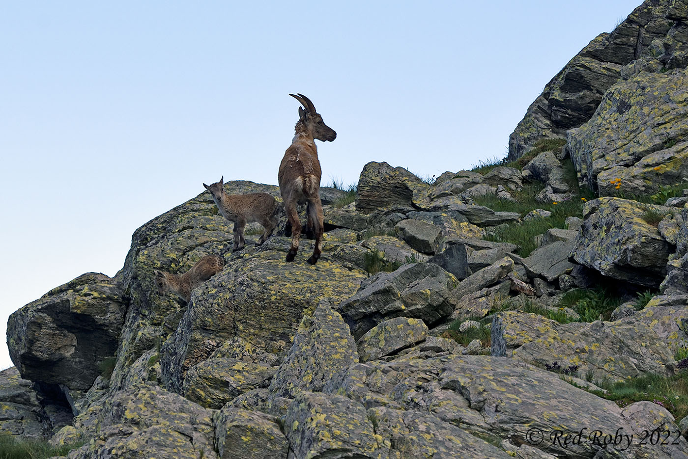 ../Viaggi/Monviso/Giro_Monviso_007814.jpg