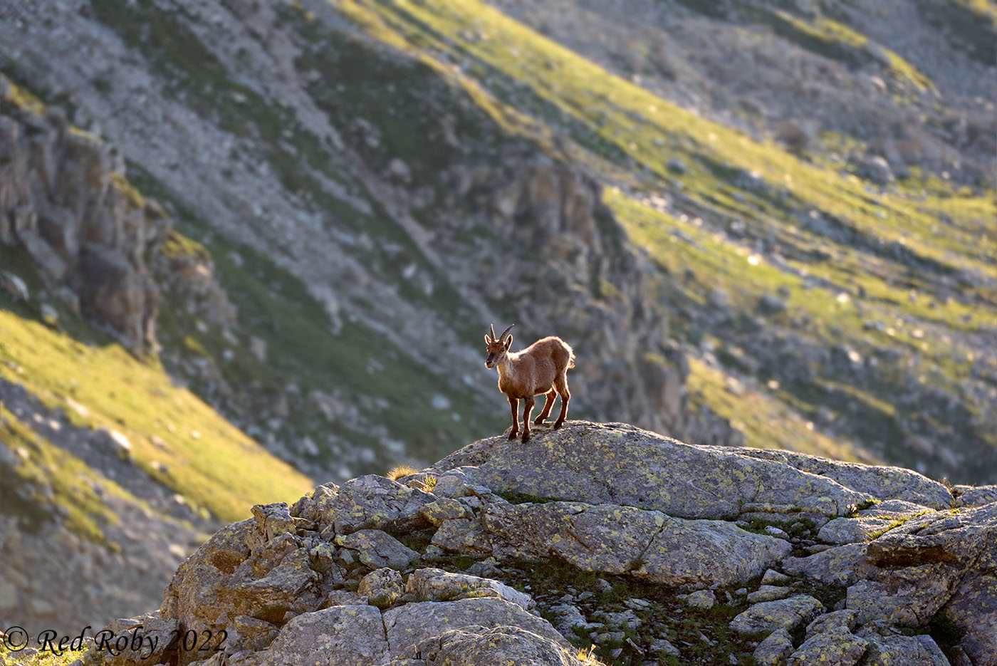 ../Viaggi/Monviso/Giro_Monviso_007841.jpg