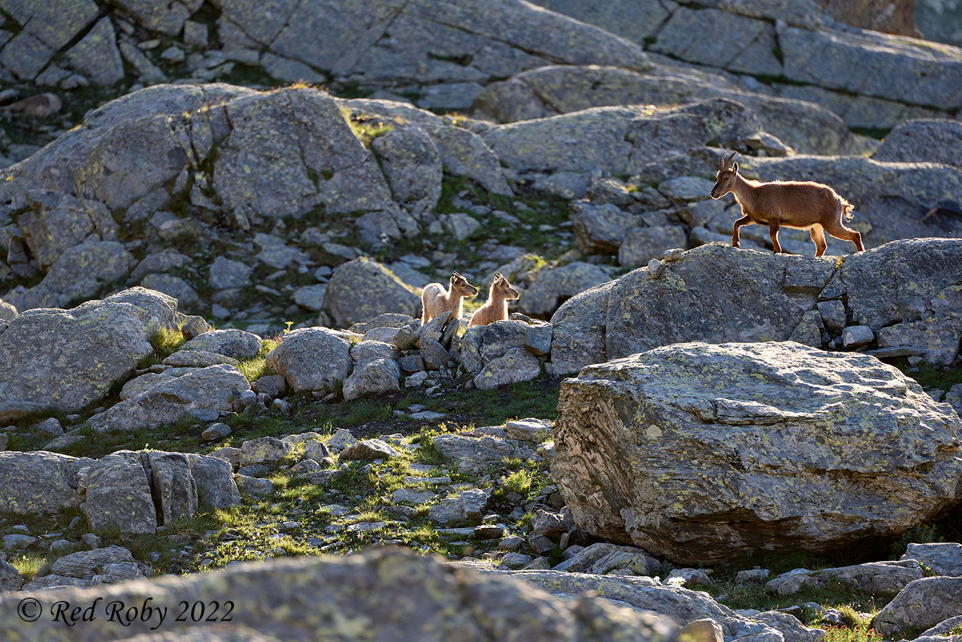 ../Viaggi/Monviso/Giro_Monviso_007858.jpg