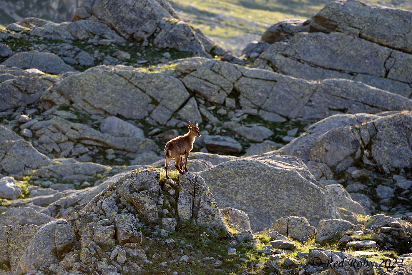 ../Viaggi/Monviso/Giro_Monviso_007865.jpg