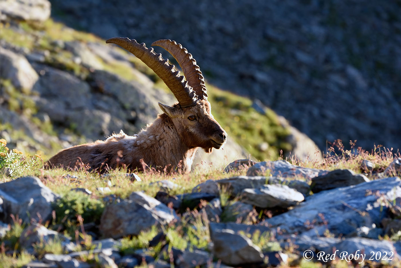 ../Viaggi/Monviso/Giro_Monviso_007872.jpg