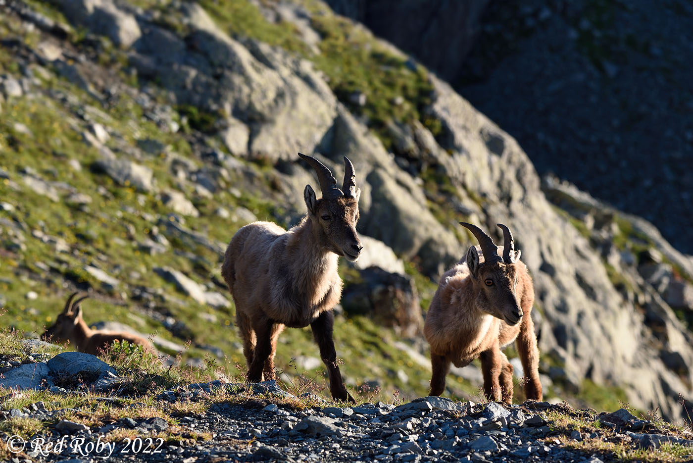 ../Viaggi/Monviso/Giro_Monviso_007883.jpg