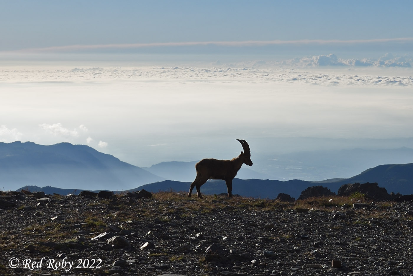 ../Viaggi/Monviso/Giro_Monviso_007901.jpg