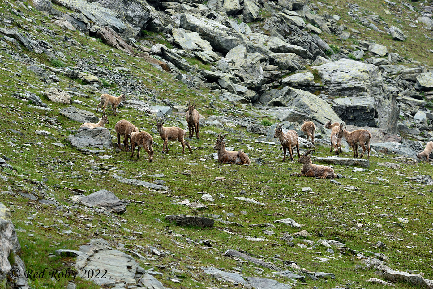 ../Viaggi/Monviso/Giro_Monviso_008004.jpg