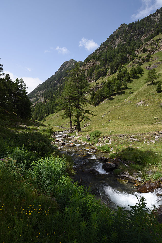 ../Viaggi/Monviso/Giro_Monviso_008222.jpg