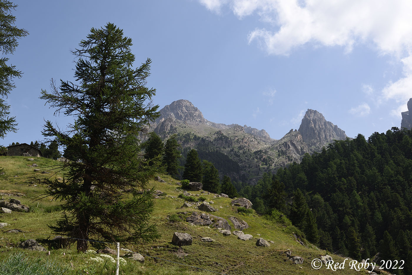 ../Viaggi/Monviso/Giro_Monviso_008226.jpg