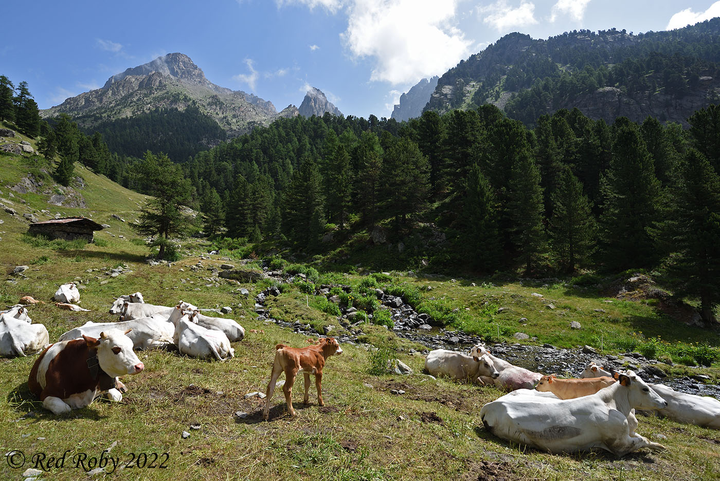 ../Viaggi/Monviso/Giro_Monviso_008229.jpg