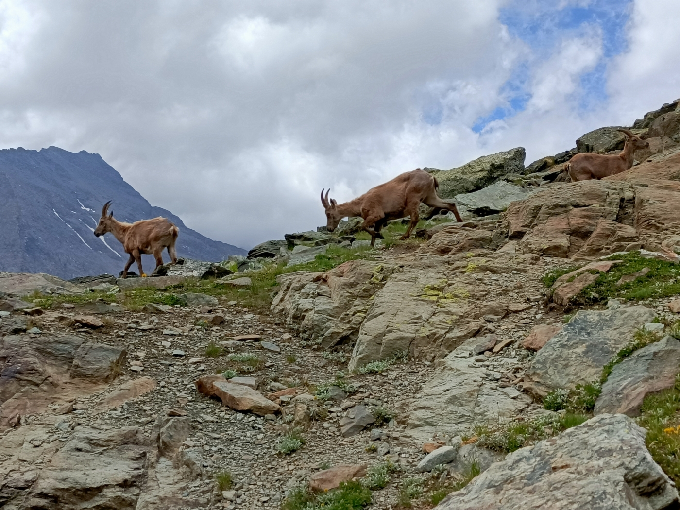 ../Viaggi/Monviso/Giro_Monviso_IMG20220626124542.jpg