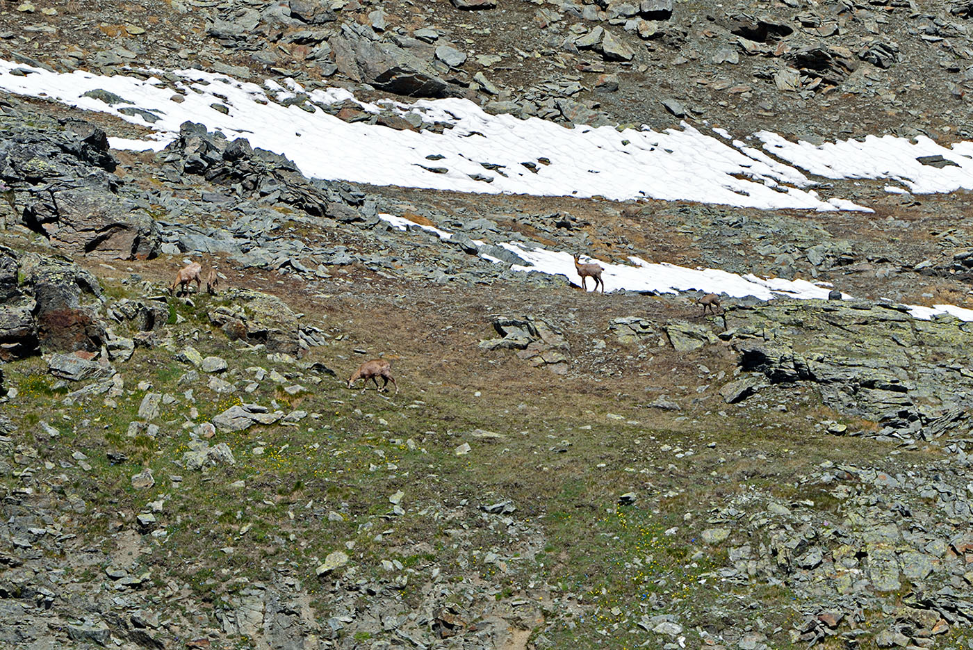 ../Viaggi/Nivolet/Colle_Leynir_011109.jpg
