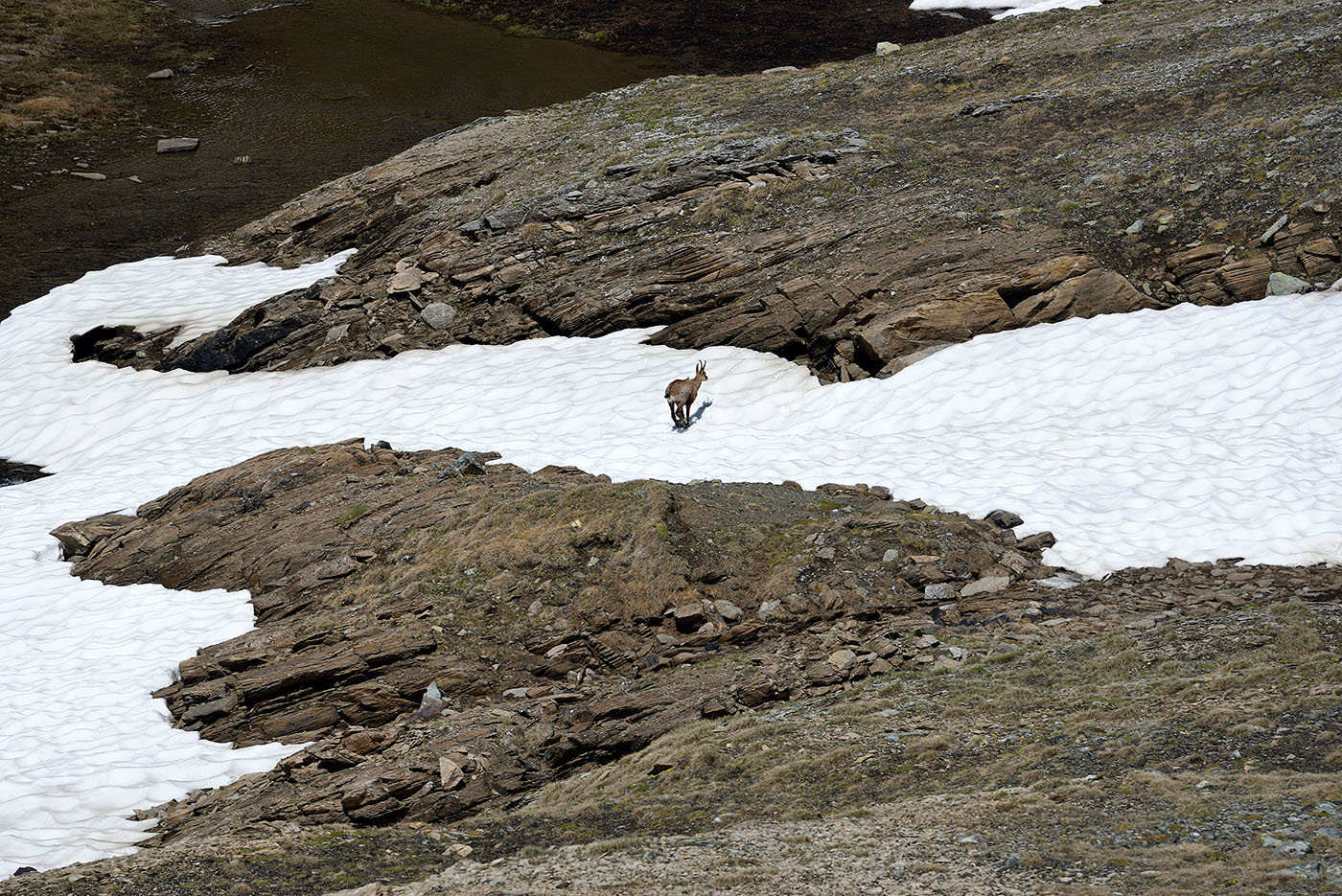 ../Viaggi/Nivolet/Colle_Leynir_011123.jpg