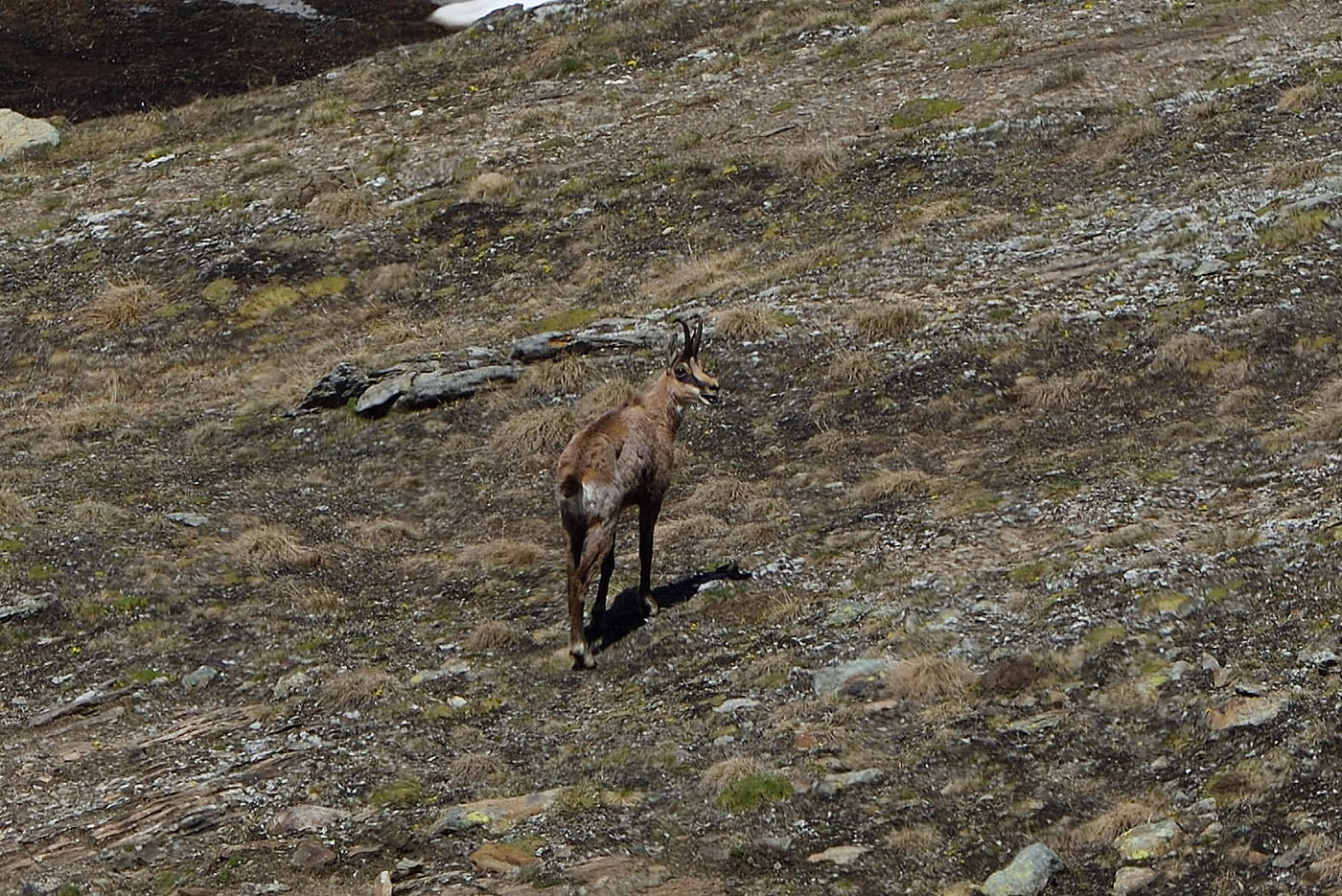 ../Viaggi/Nivolet/Colle_Leynir_011125.jpg