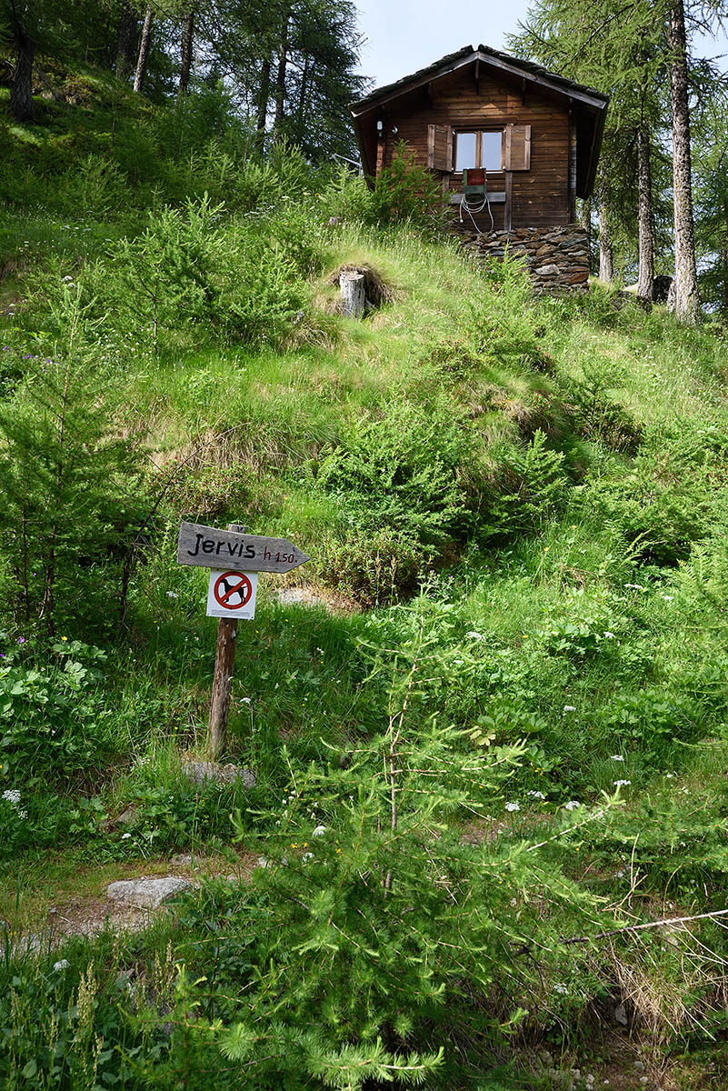 ../Viaggi/Nivolet/Rifugio_Jervis_011153.jpg