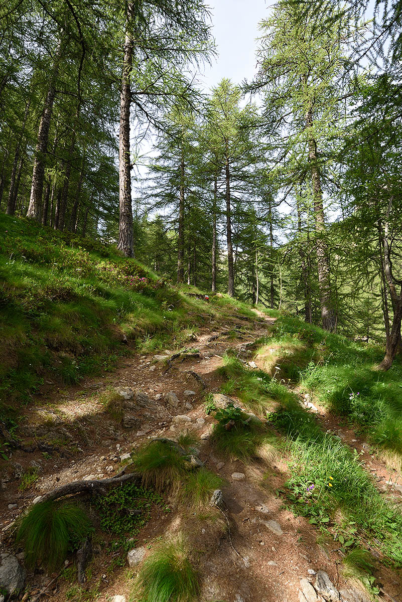 ../Viaggi/Nivolet/Rifugio_Jervis_011154.jpg
