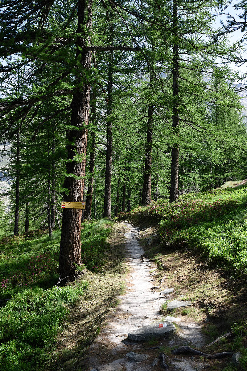 ../Viaggi/Nivolet/Rifugio_Jervis_011156.jpg