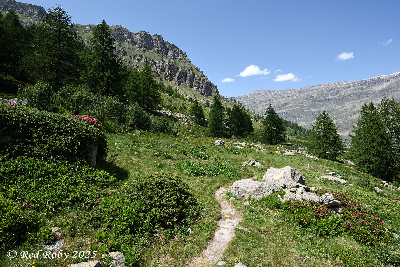 ../Viaggi/Nivolet/Rifugio_Jervis_011200.jpg