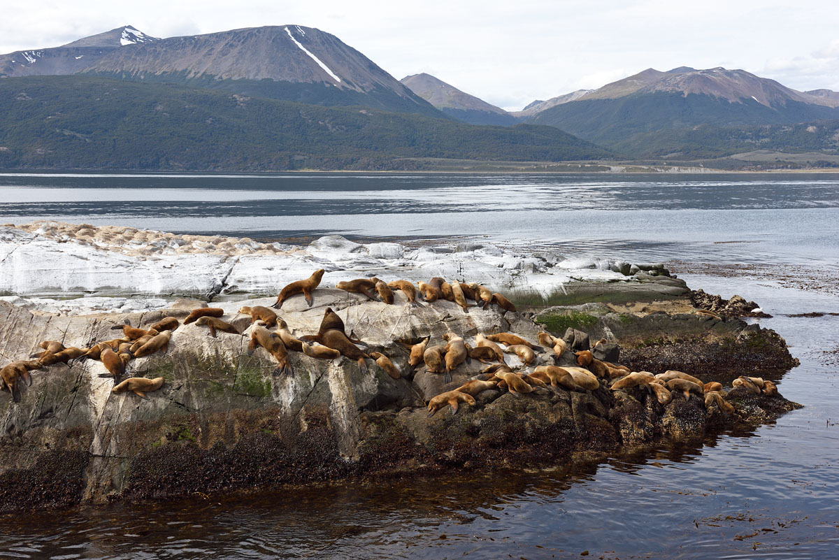 ../Patagonia/Canale_Beagle_0492.jpg