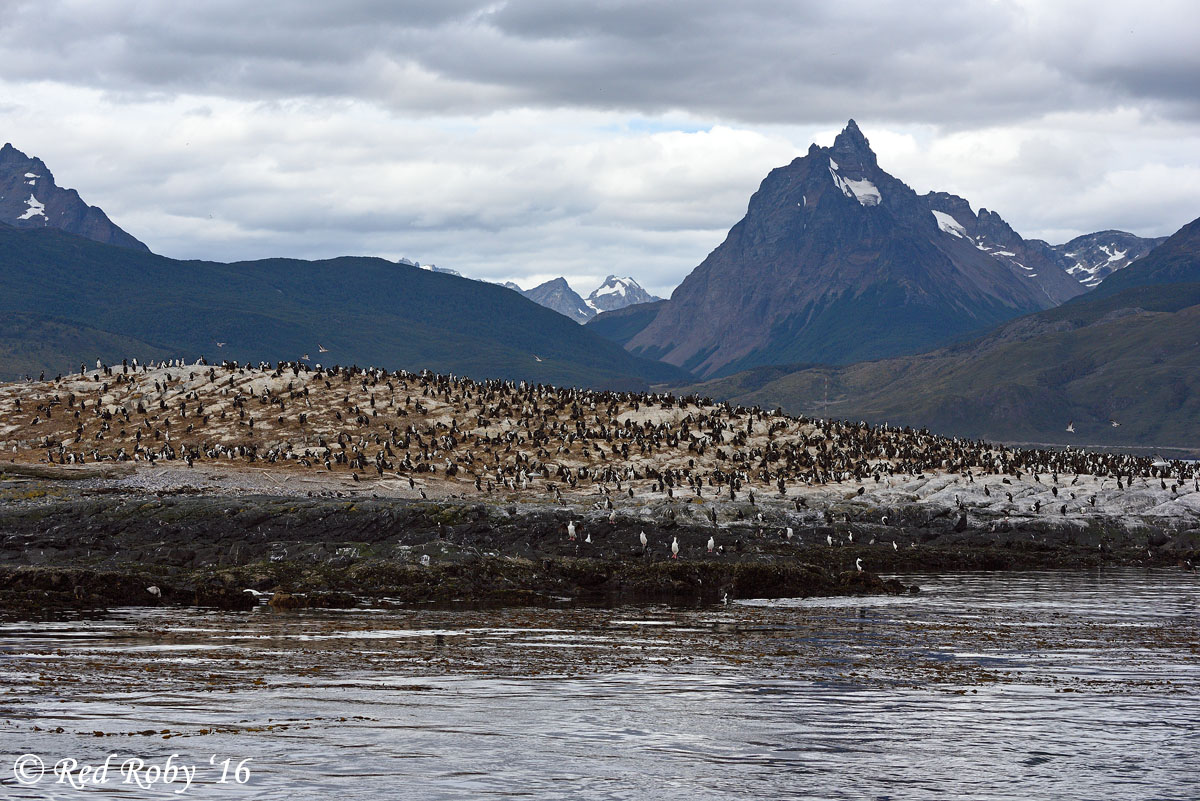 ../Patagonia/Canale_Beagle_0696.jpg